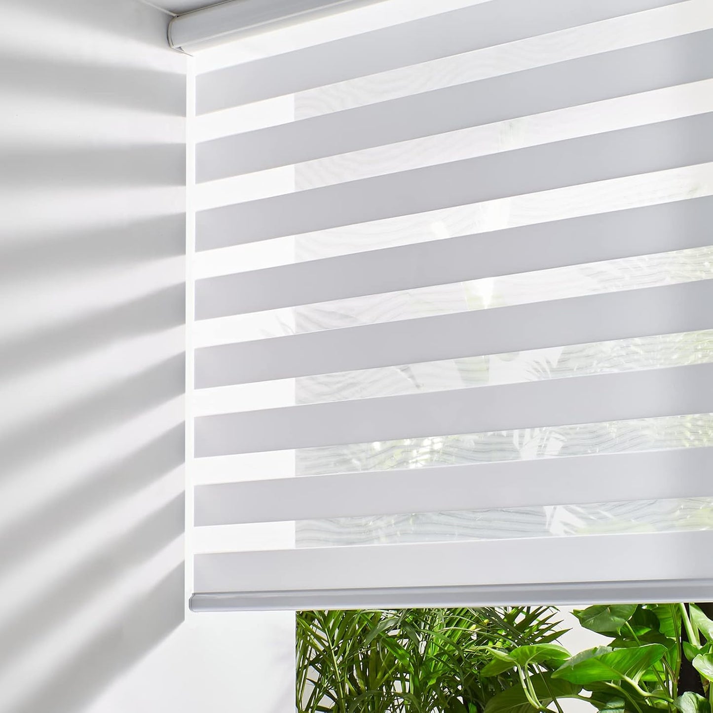 Persilux Cordless Zebra Blinds for Windows Free-Stop Roller Windows Shades (31" W X 64" H, White) Dual Layer Light Control for Day and Night, Light Filtering Sheer Shades for Home, Easy to Install