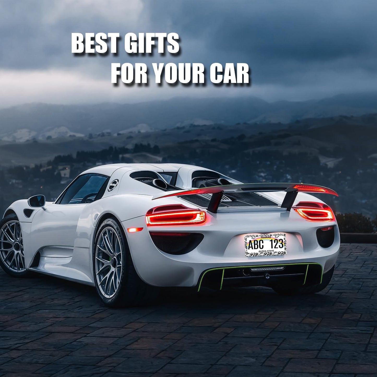 Leopard License Plate Frame Abstract Tropical Palm Trees License Plate Stainless Steel Colorful Car Accessory Funny License Plate Decoration Men Women Size 12.2" x 6.2" with Screws