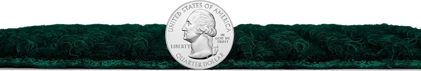 KOECKRITZ Heavy Duty Durable All Weather Indoor/Outdoor Non Slip Entrance Mat Rugs and Runners for Office Business Building Home Garage Front Door (4' x 11', Green)