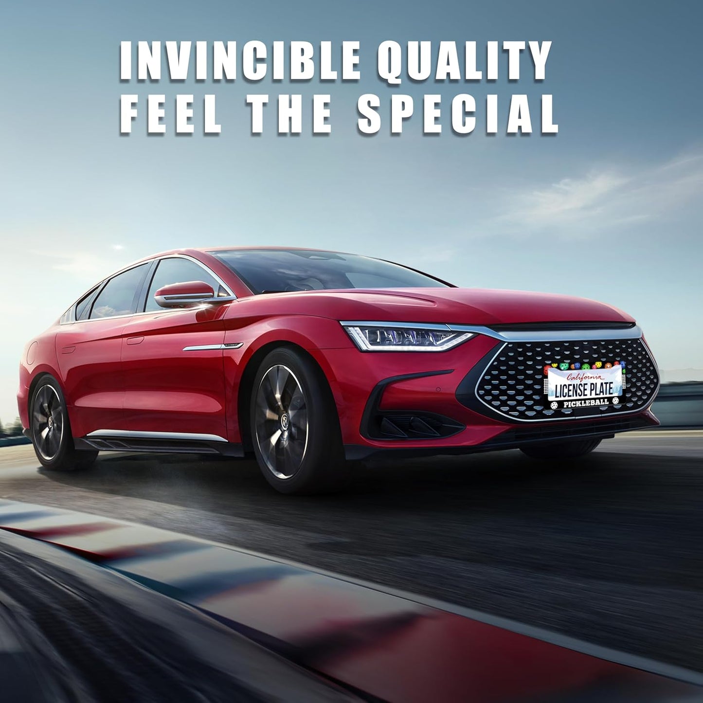 Personalized License Plate Frame Pickleball Stainless Steel Accessory Colored Balls License Plate Holder Funny Car Decorative 2 Holes Screws Fits Us Standard License Plates 12.2 X 6.3 In For Men Women