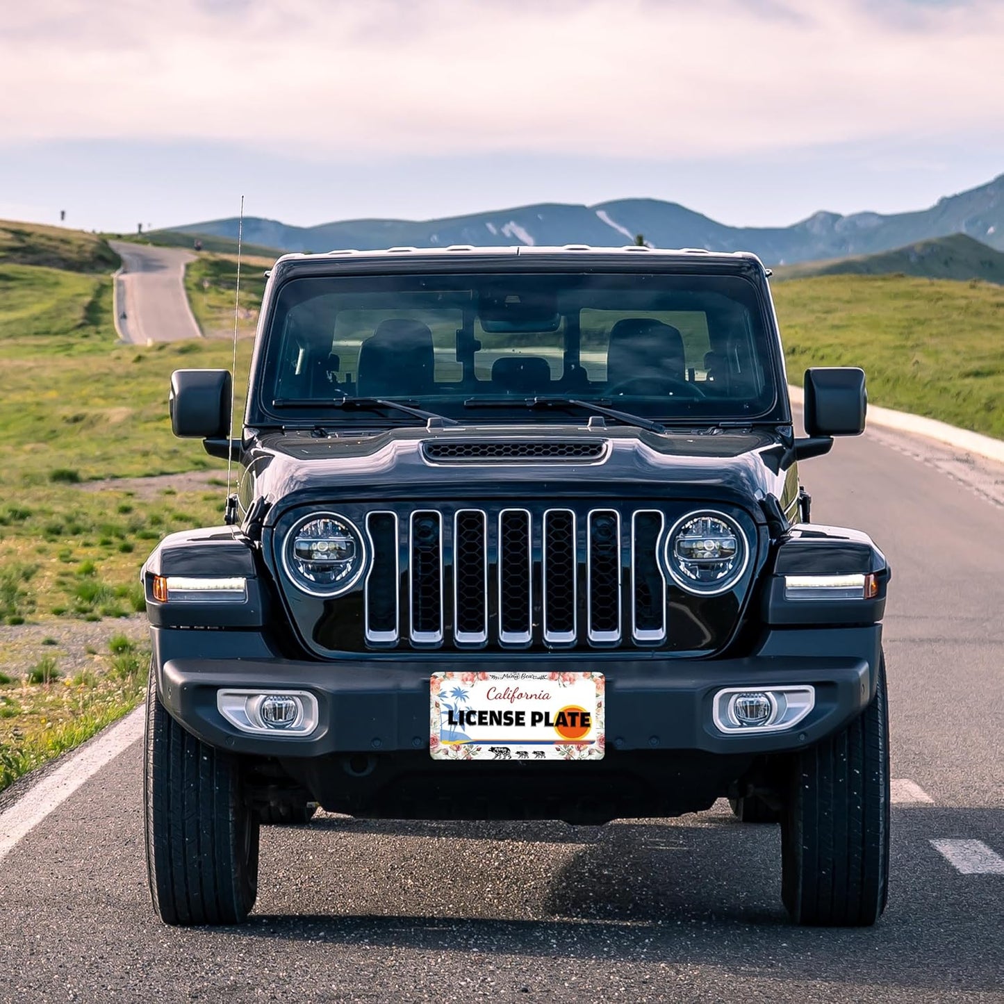 Mama Bear License Plate Frame Beautiful Flowers for Front or Rear Car Tags Stainless Steel License Plate Holder Funny Car Decoration with Screws 6.3 X 12.2 in